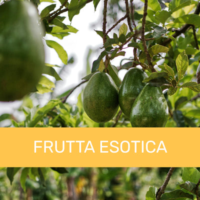 Frutta Esotica