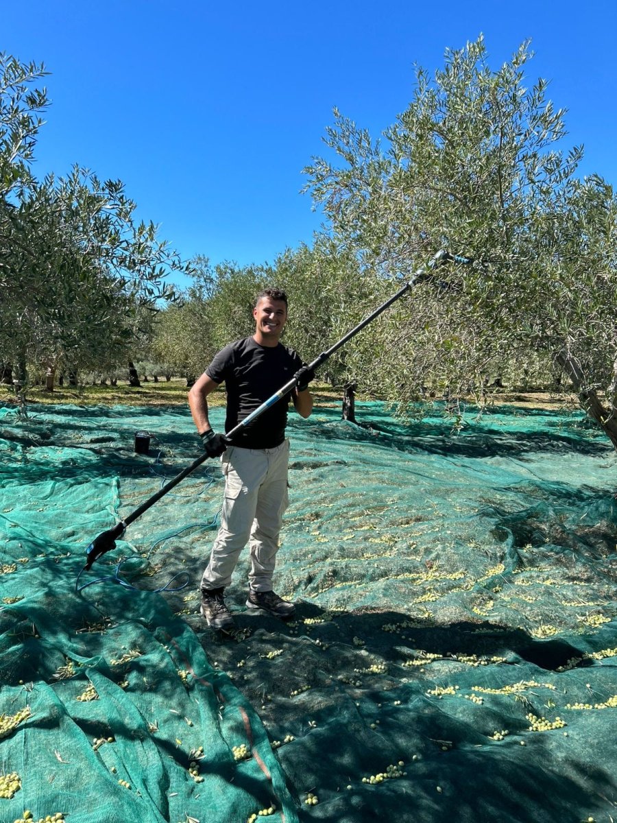 Olio Extravergine Novello Siciliano (Molitura 2025/26)