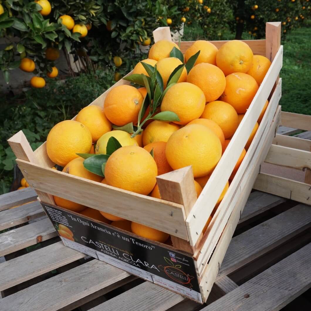 Arance di Ribera W. Navel (da spremuta)