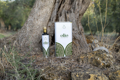Olio Extravergine di Oliva Siciliano (molitura 2024/25)