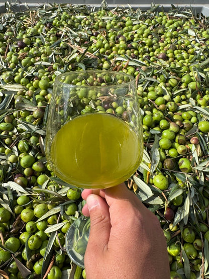 Olio Extravergine Novello Siciliano (Molitura 2025/26)