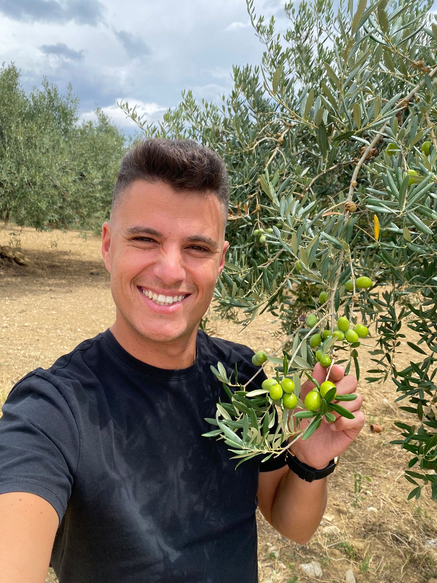 Olio Extravergine Novello Siciliano (molitura 2025/26)! prima spedizione 20 ottobre