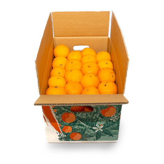 Arance di Ribera W. Navel (da spremuta)